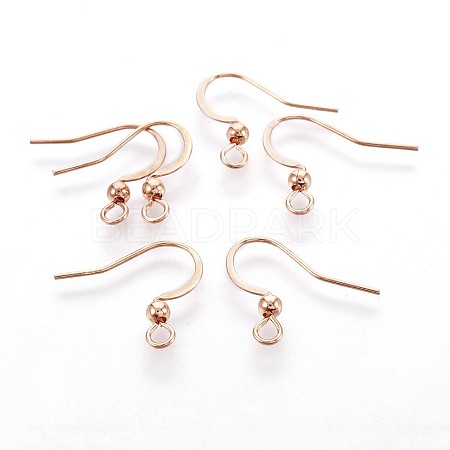 316 Surgical Stainless Steel French Earring Hooks STAS-P221-03RG-1