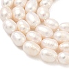 Natural Cultured Freshwater Pearl Beads Strands PEAR-D003-01D-10-4