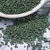 MIYUKI Delica Beads SEED-MY11-DB2312-1