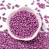 Baking Paint Glass Seed Beads SEED-L011-12A-12-2