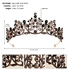 Alloy Rhinestone Hair Bands  for Woman Girls PW-WGA69DD-08-1