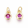 Brass with Single Cubic Zirconia Charms ZIRC-F095-03G-04-2