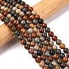 Natural New Ocean Jasper Bead Strands G-G954-01-8mm-1