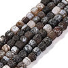 Natural Weathered Agate Beads Strands G-NH0038-01C-1