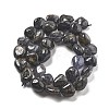 Natural Iolite Beads Strands G-C179-F06-01-3