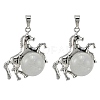 Natural Quartz Crystal Pendants G-D102-01P-05-1