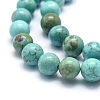Dyed Natural Turquoise Beads Strands G-G768-02-12mm-2