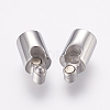 304 Stainless Steel Magnetic Clasps with Glue-in Ends STAS-E138-03P-2