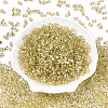 Baking Paint Transparent Glass Seed Beads SEED-N006-05B-2