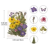 Pressed Dried Flowers DIY-YWC0001-97-3