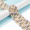 Shell Pearl Bead Strands BSHE-L017-17-2