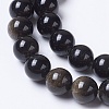Natural Golden Sheen Obsidian Beads Strands G-K268-01-8mm-3