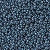 MIYUKI Round Rocailles Beads SEED-X0054-RR0314-3
