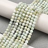 Natural Green Opal Beads Strands G-Z035-A02-02A-2