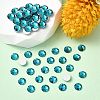 Preciosa® MAXIMA Crystal No Hotfix Flatback Stones Y-PRC-NSS10-60230-2