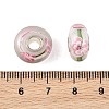 Lampwork & Brass Core European Beads LAMP-P019-01P-06-3