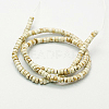 Natural Magnesite Beads Strands TURQ-P027-50-2