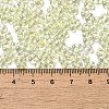 Glass Seed Beads SEED-K009-04A-02-4