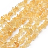 Natural Citrine Beads Strands X-G-P332-51-1