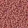 TOHO Round Seed Beads X-SEED-TR08-0960-2