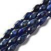 Natural Lapis Lazuli Beads Strands G-B028-A12-1