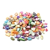 50G Dyed Natural Freshwater Shell Chip Beads BSHE-YW0001-04-2