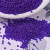MIYUKI Delica Beads SEED-JP0008-DB0748-1
