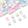 100Pcs 10 Styles 2-Hole Glass Seed Beads SEED-FS0001-45-2