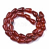 Natural Red Agate Carnelian Beads Strands G-S359-245B-2