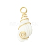 Natural Trumpet Shell Pendants PALLOY-JF02794-01-3