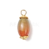 6Pcs Natural Peacock Agate(Dyed & Heated) Pendants PALLOY-JF04532-03-3
