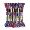 10 Skeins 6-Ply Polyester Embroidery Floss OCOR-K006-A13-1