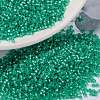 MIYUKI Round Rocailles Beads SEED-X0056-RR0572-1