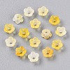 Frosted Transparent Acrylic Beads OACR-N137-72G-2