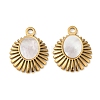 304 Stainless Steel Natural White Shell Pendants STAS-L288-07G-02-1