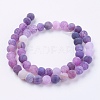 Natural Weathered Agate Beads Strands G-G589-8mm-06-4