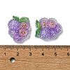 Fruit Transparent Epoxy Resin Decoden Cabochons CRES-I030-23E-3