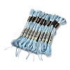 10 Skeins 6-Ply Polyester Embroidery Floss OCOR-K006-A36-1