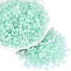 600Pcs Glass Seed Beads SEED-PA0001-17C-1