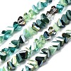 Electroplate Glass Beads Strands X-EGLA-N002-06G-1