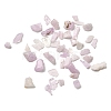 Natural Kunzite Beads G-Z099-A01-2