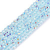 Transparent Glass Beads Strands EGLA-N028-01A-A06-1