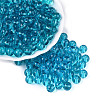 FGB Transparent Glass Seed Beads SEED-N013-01C-10-1