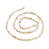 Natural Gold Rutilated Quartz Beads Strands G-C009-B17-3