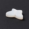Natural White Shell Beads BSHE-G031-05-3