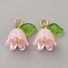 Acrylic Charms KY-TAC0009-03C-2