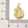 Rack Plating Brass Micro Pave Cubic Zirconia Pendants KK-I720-41G-3
