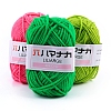 4-Ply Polyester & Acrylic Fiber Yarn for Tufting Gun Rugs PW-WG2A0C2-M-1-3
