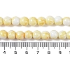 Baking Paint Glass Bead Strands GLAA-H031-01B-03-5