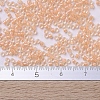 MIYUKI Delica Beads SEED-X0054-DB0067-4